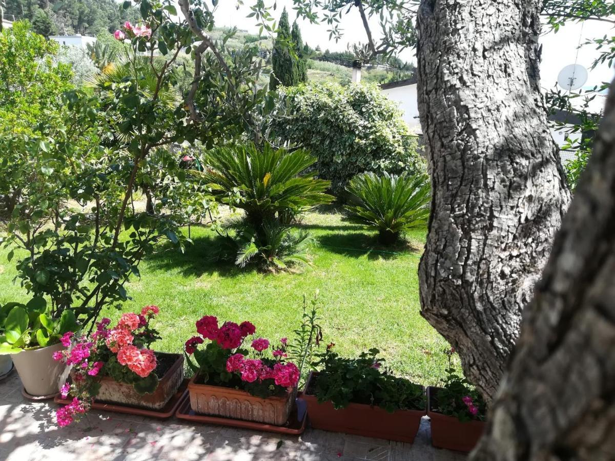Il Corbezzolo Villa Матера Екстериор снимка