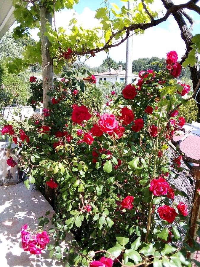 Il Corbezzolo Villa Матера Екстериор снимка